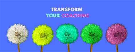 6 1/2 Powerful Coaching Models To Transform Your Coaching