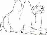Bactrian Camel Coloring Page For Kids  Free Printable sketch template