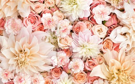 rose gold desktop wallpaper #1056793 | Floral wallpaper desktop, Flower ...