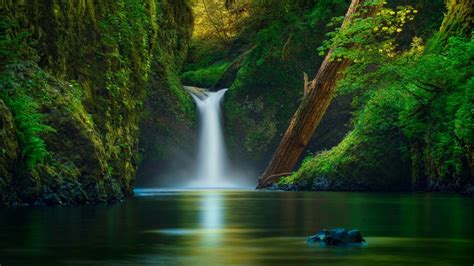 tranquility, tranquil scene, rock, usa, outdoors, land, non-urban scene, waterfront, stream ...