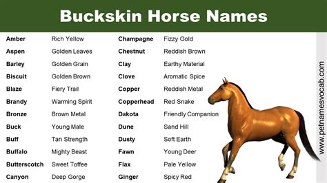 Good Buckskin Horse Names - Pet Names Vocab