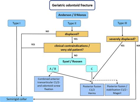 Geriatric Odontoid Fractures: Treatment Algorithms of the German Society for Orthopaedics and ...