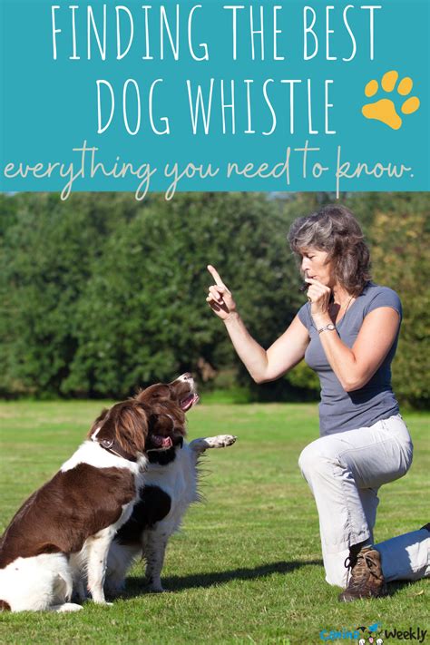 10 Best Dog Whistles for Training and Hunting | Dog whistle, Top dog ...