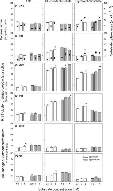 Bar charts representing the percentage of Bacteria, the R-BT cluster of... | Download Scientific ...