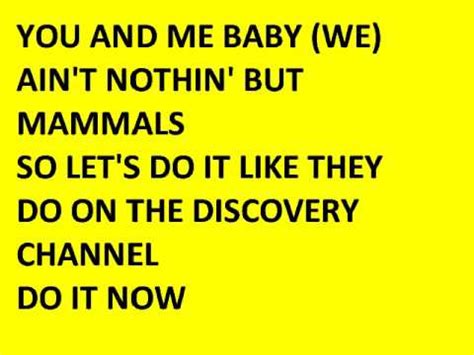 DISCOVERY CHANNEL (lyrics) - YouTube