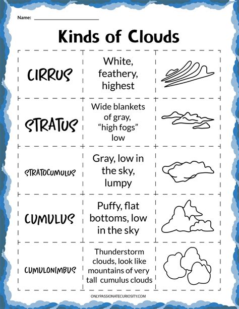 Types Of Clouds Worksheet - Printable Templates Free