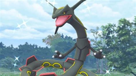 Can Rayquaza Be Shiny in Pokemon GO? | The Nerd Stash