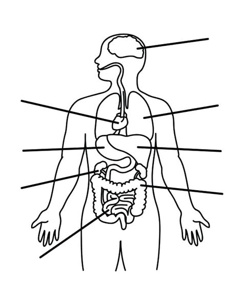 Body Parts Coloring Pages at GetColorings.com | Free printable ...