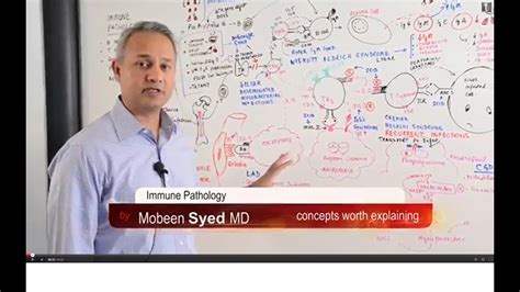 Immunology Lecture 19 Immune Pathology - YouTube