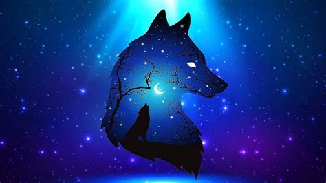 [100+] Blue Wolf Wallpapers | Wallpapers.com