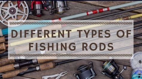 Different Types of Fishing Rods Explained - OutdoorStack