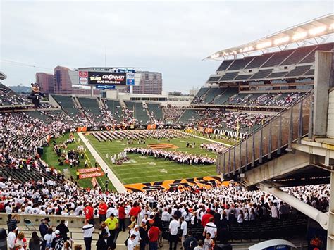 Cincinnati Bearcats: Paul Brown Stadium Field Wall on Behance