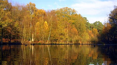 Burnham Beeches - Places to go | Lets Go With The Children