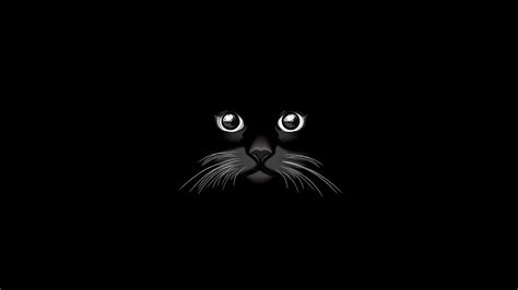 Download Minimalist Black Cat Animal Artistic HD Wallpaper