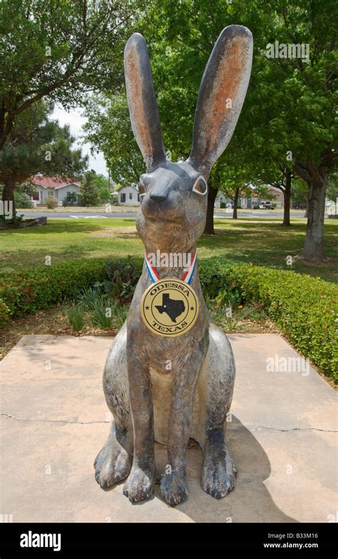 Texas Odessa Jack Ben Rabbit World s Largest Jackrabbit statue 8 feet ...