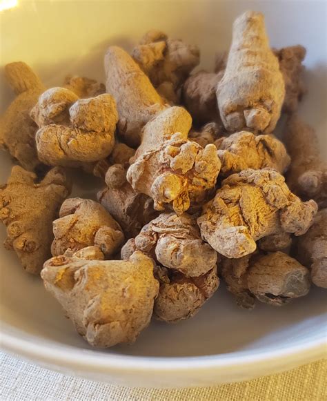 Meet our Herb of the Week: Panax Notoginseng - Luna Liniments