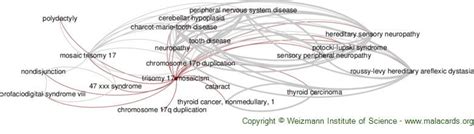 Trisomy 17 Mosaicism disease: Malacards - Research Articles, Drugs, Genes, Clinical Trials