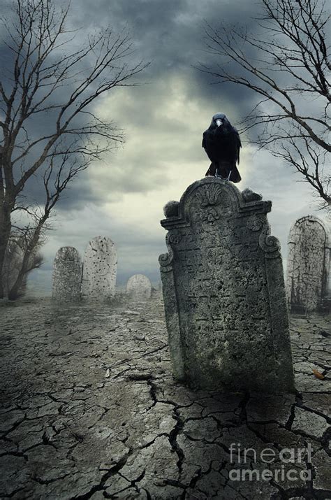 Crow on the tombstone Digital Art by Jelena Jovanovic