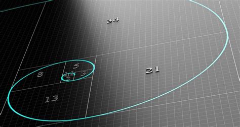 Gak Nyangka, Ternyata Angka Fibonacci Punya Peranan Penting