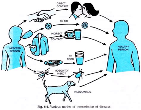 what is communicable disease - Cameron Rampling