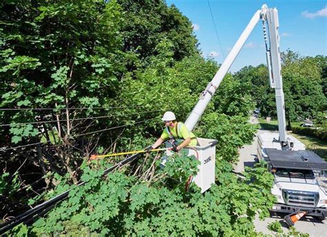 How To Safely Remove A Branch From A Power Line