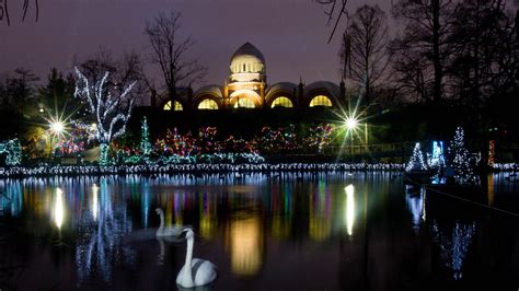 Cincinnati Zoo Festival of Lights opens Saturday