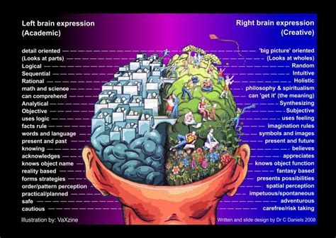 Agyféltekék a nyelvtanulásban./The two hemispheres of the brain in language learning. - Angolra fel!