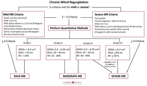 Mitral Regurgitation Case Study Demonstration! Cardioserv