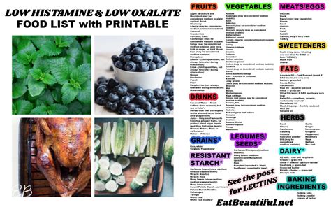 Printable Low Histamine Food Chart