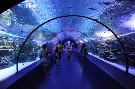 Aquarium Antalya - Catt Tour Antalya