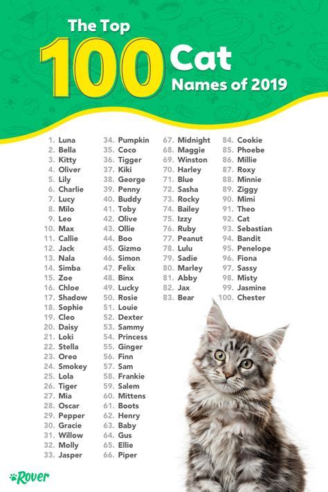 100 Top Male and Female Cat Names of 2019 | Cat names, Cats, Popular dog names