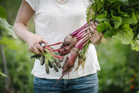 10 Easy Garden Vegetables to Plant in Spring