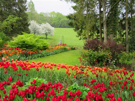 Tulip Festival - Pashley Manor Gardens