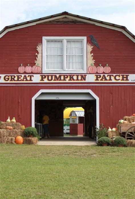 Pumpkin Patch Near Me - 50 Best Pumpkin Farms in America