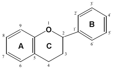 General structure of flavonoids. | Download Scientific Diagram