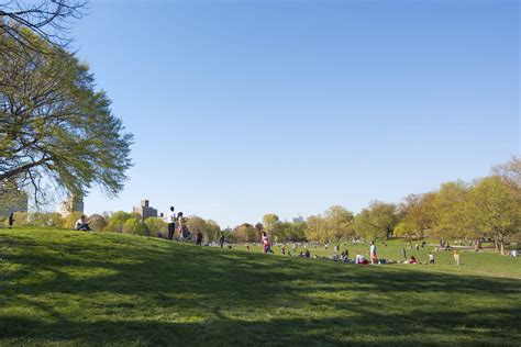 Celebrate Olmsted's 200th Birthday - Prospect Park Alliance