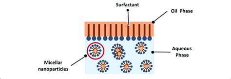 | Illustration of micellar nanoparticles formation in nanoemulsion system. | Download Scientific ...