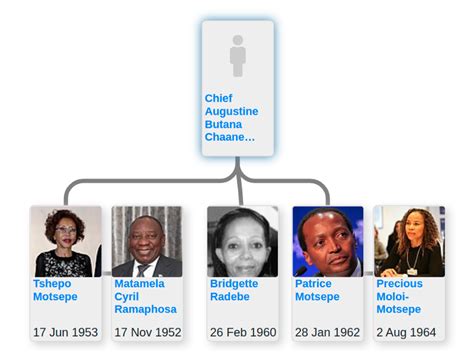 Family tree of Tshepo Motsepe - Blog for Entitree