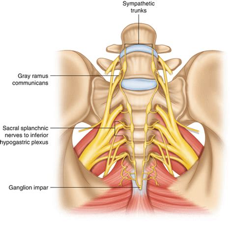 Ganglion Impar Block | South Lake Pain Relief