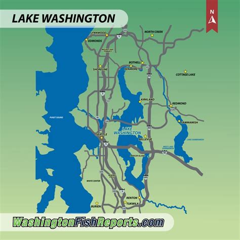 Lake Washington - Mercer Island, WA - Fish Reports & Map