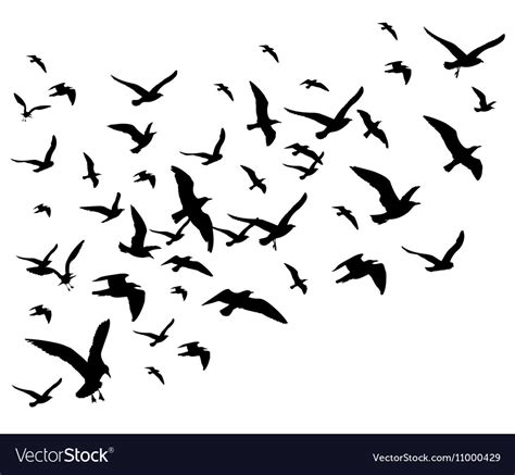 Flying birds flock isolated Royalty Free Vector Image