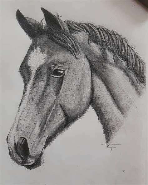 Drawing Ideas Pencil Easy Horse Drawing - I Will Burn