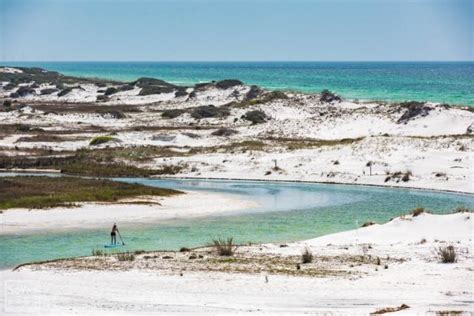 8 of the Best Louisiana Public Beaches - Flavorverse