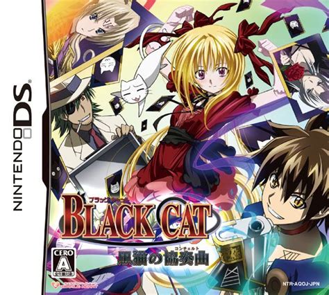 DS game | Black cat, Cats, Anime