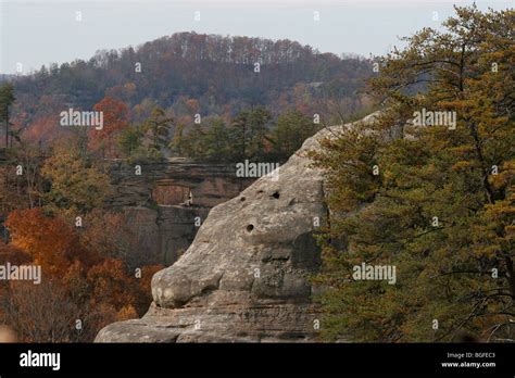 Red River Gorge Kentucky Double Arch fall colors Stock Photo - Alamy