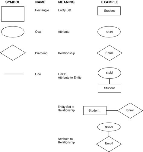 Components Of Er Diagram | ERModelExample.com