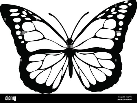 Butterfly Life Cycle Black And White Clip Art