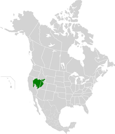 File:Great Basin Shrub Steppe map.svg - Wikimedia Commons