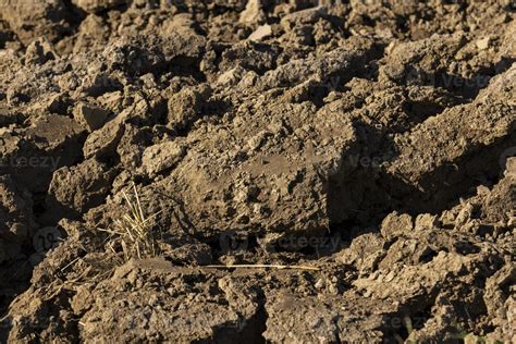 Preparation of soil for sowing plants 13628172 Stock Photo at Vecteezy