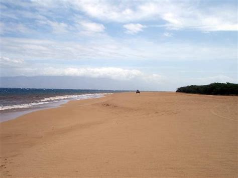 Polihua Beach (Lanai) - All You Need to Know Before You Go (with Photos ...